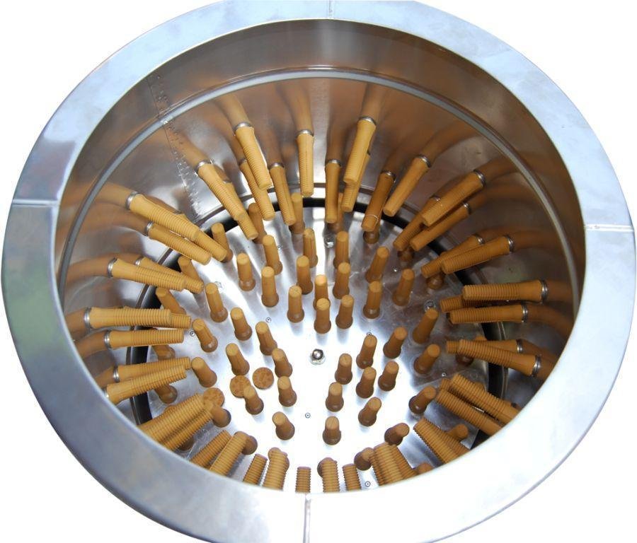 ngũ cốc cho gà đá,Ngũ cốc cho gà đá: Những thông tin cần biết ngũ cốc cho gà đá,Ngũ cốc cho gà đá: Những thông tin cần biết