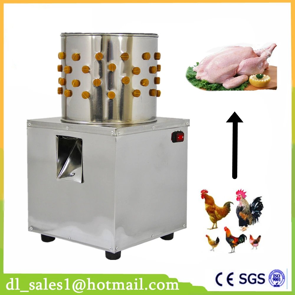 đá gà trực tiếp thomo 999 hôm nay trực tiếp,Đá Gà Trực Tiếp Thomo 999 Hôm Nay: Thứ Hai – Kết Quả Đấu Tranh Đỉnh Cao