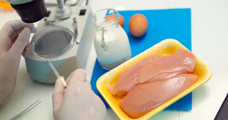 đá gà trực tiếp thomo hôm qua đá gà trực tiếp thomo hôm qua