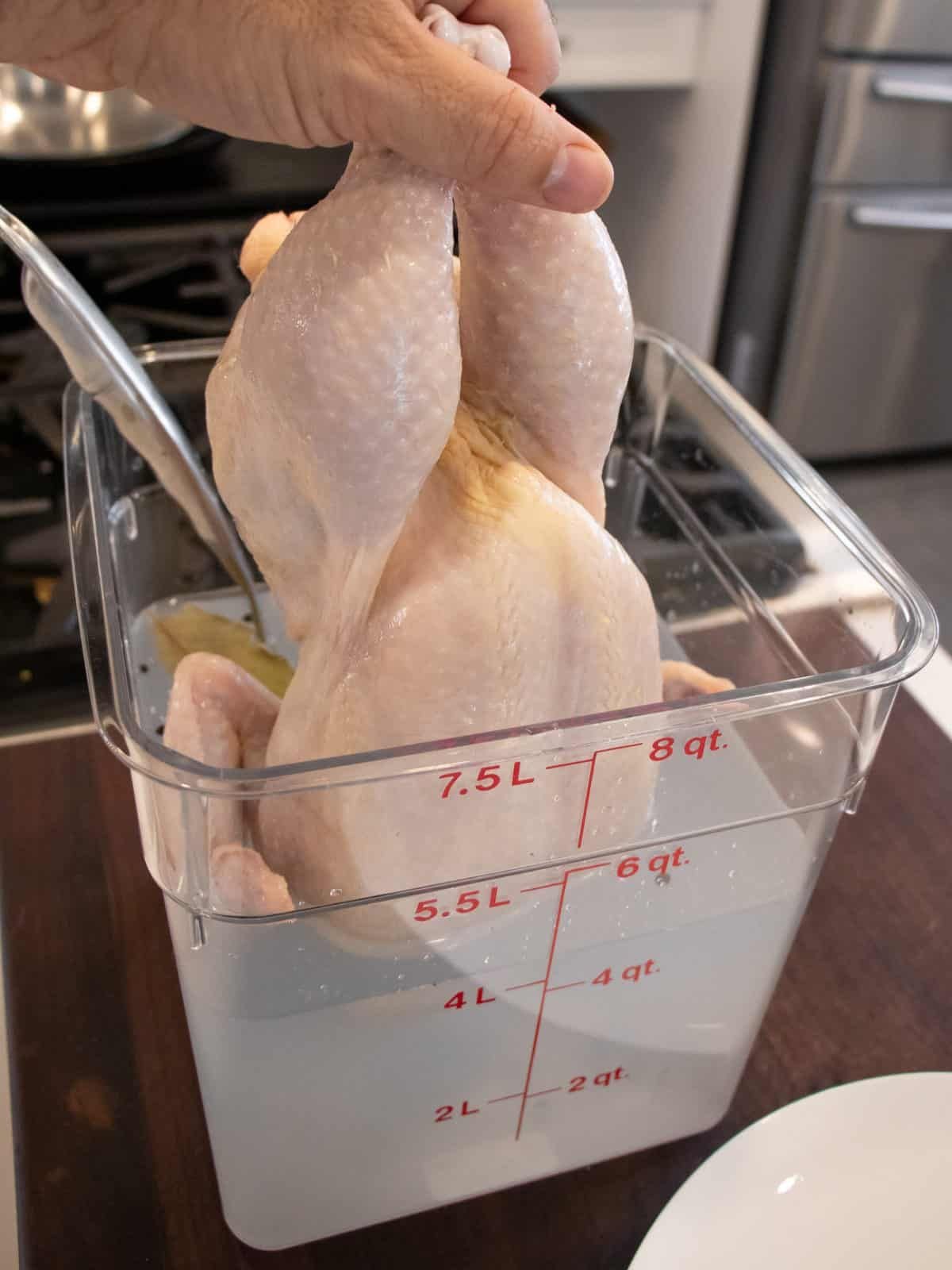 cách nuôi gà tre đá hay nhất