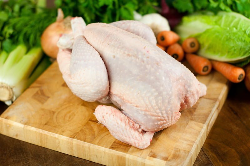gà sừng lông đầu không chịu đá gà sừng lông đầu không chịu đá