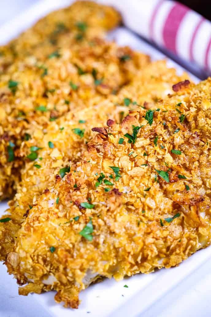 đá gà trực đá gà trực