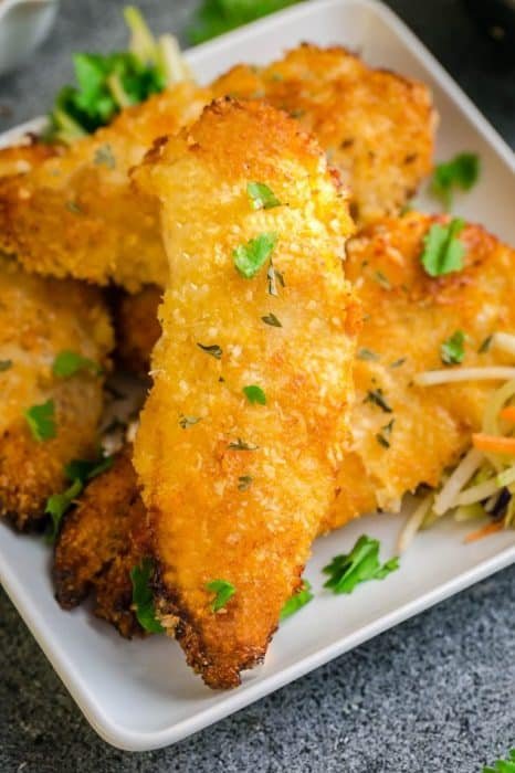 kỹ thuật nuôi gà tre đá cựa sắt,Kỹ thuật nuôi gà tre đá cựa sắt: Bí quyết thành công