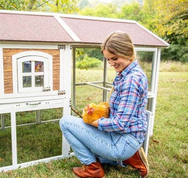 bj39 đá gà,BJ39 Đá Gà – Điểm Nổi Bật và Kinh Nghiệm Chơi Đá Gà bj39 đá gà,BJ39 Đá Gà – Điểm Nổi Bật và Kinh Nghiệm Chơi Đá Gà