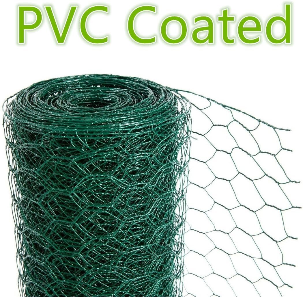 trực tiếp đá gà bình định,Trực tiếp đá gà Bình Định: Thứ hai, Một Sự Kiện Đặc Biệt trực tiếp đá gà bình định,Trực tiếp đá gà Bình Định: Thứ hai, Một Sự Kiện Đặc Biệt