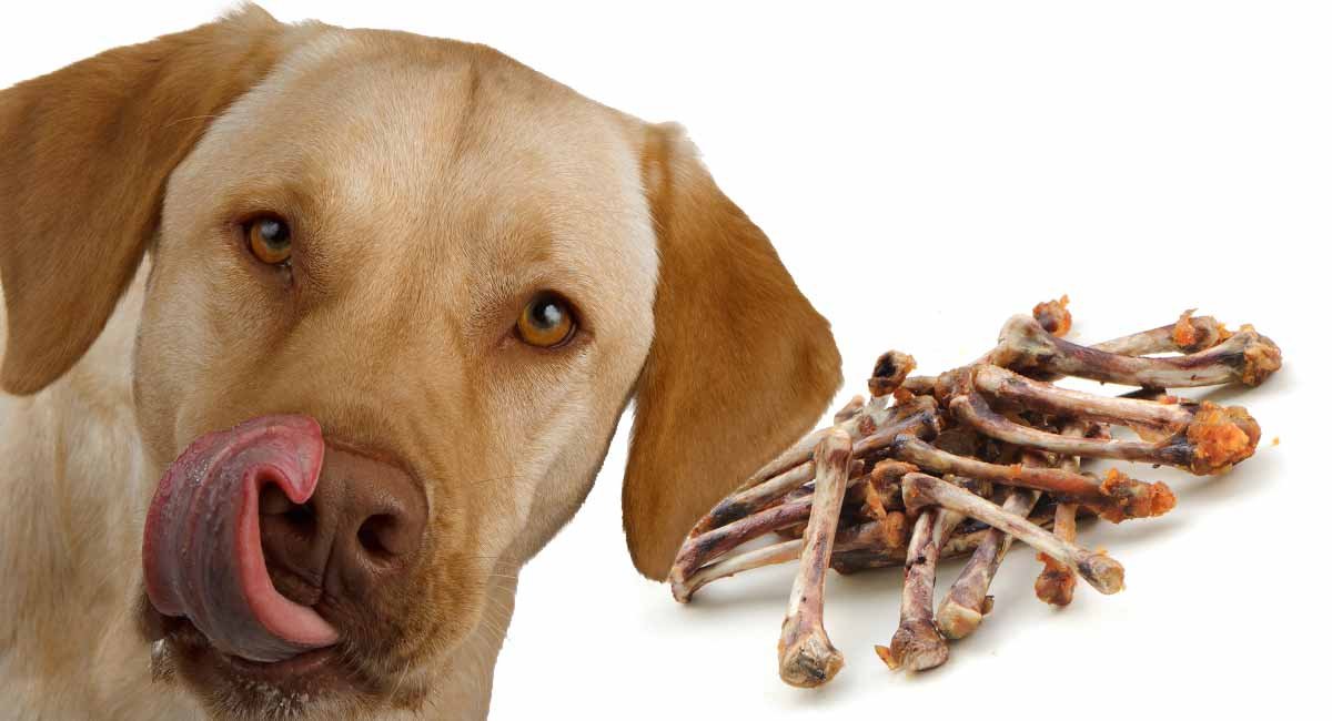 đá gà cựa sắt mới nhất hôm nay đá gà cựa sắt mới nhất hôm nay