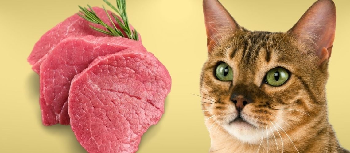 đá luộc gà,Đá luộc gà – Món ăn truyền thống với công thức và bí quyết đá luộc gà,Đá luộc gà – Món ăn truyền thống với công thức và bí quyết
