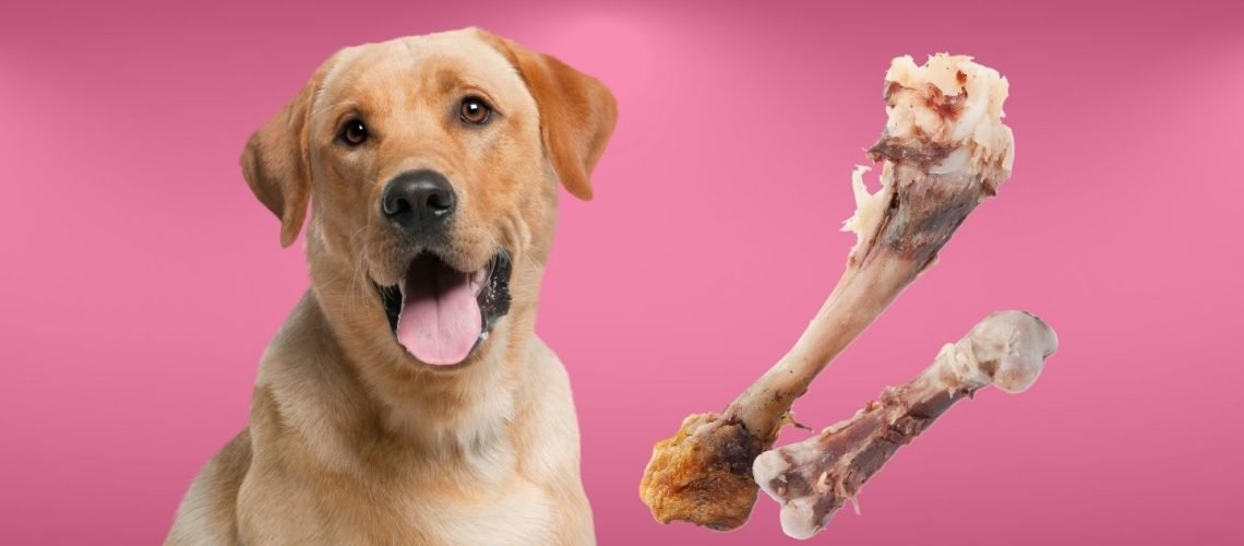 chợ tốt gà đá tphcm,Chợ Tốt Gà Đá TPHCM: Thứ Hai – Điểm Đến Không Thể Bỏ Qua chợ tốt gà đá tphcm,Chợ Tốt Gà Đá TPHCM: Thứ Hai – Điểm Đến Không Thể Bỏ Qua