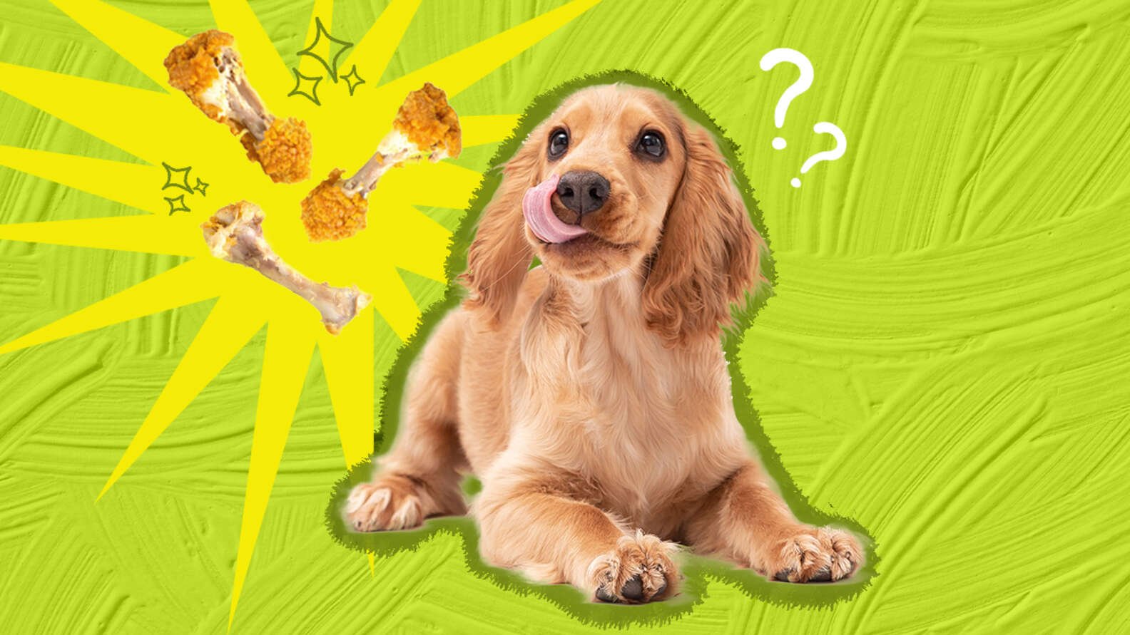 đá gà thái lan cựa sắt đá gà thái lan cựa sắt