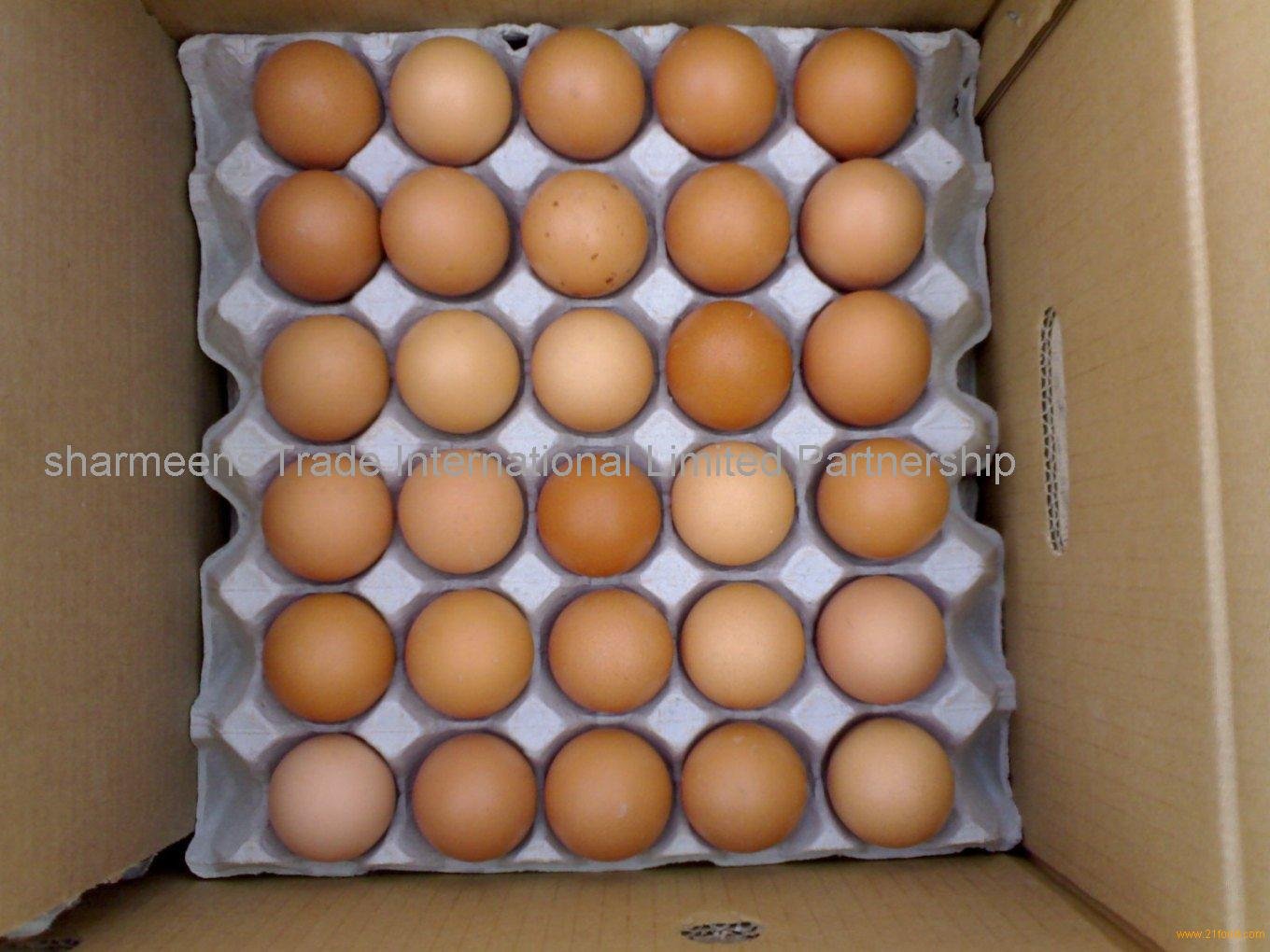 Thú chơi gà đá và các trận đấu hấp dẫn tại Cần Thơ